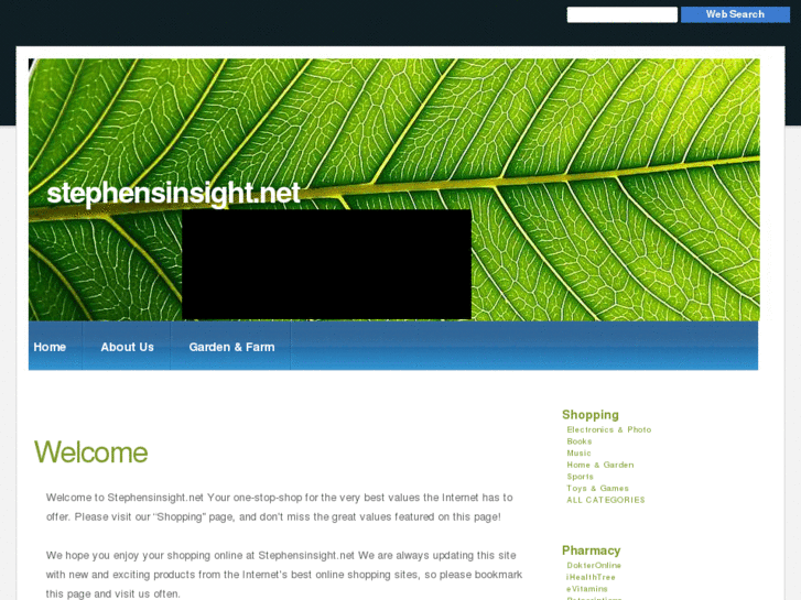 www.stephensinsight.net