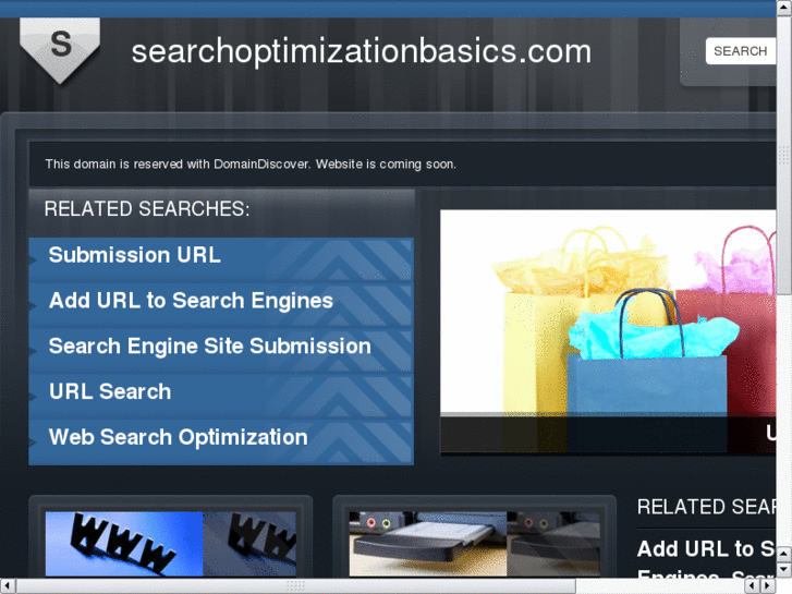 www.searchoptimizationbasics.com