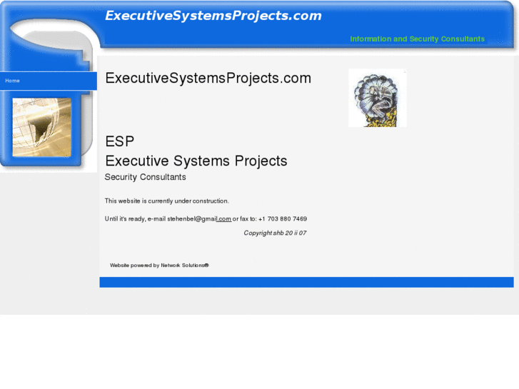 www.executivesystemsprojects.com