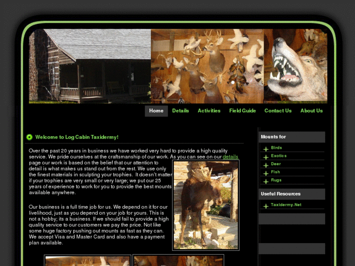 www.logcabintaxidermy.net
