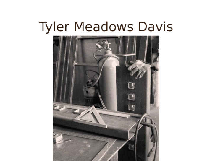 www.tylermeadowsdavis.com