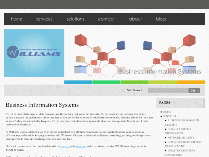 www.wbisconsulting.net