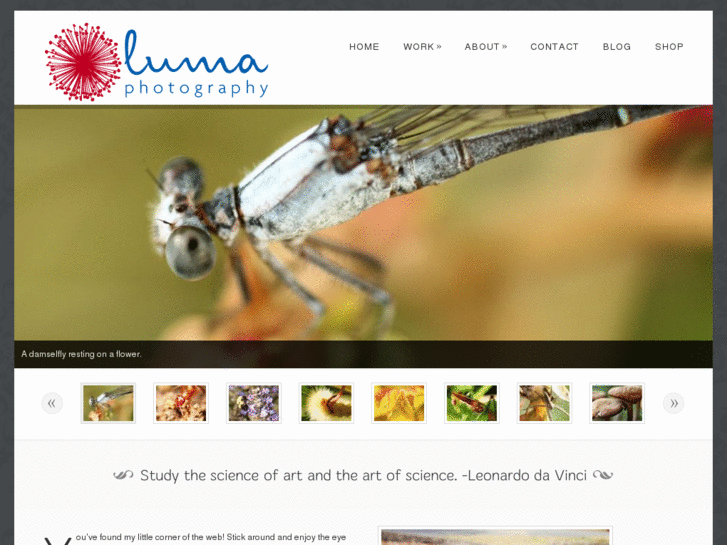 www.lumaphotography.net