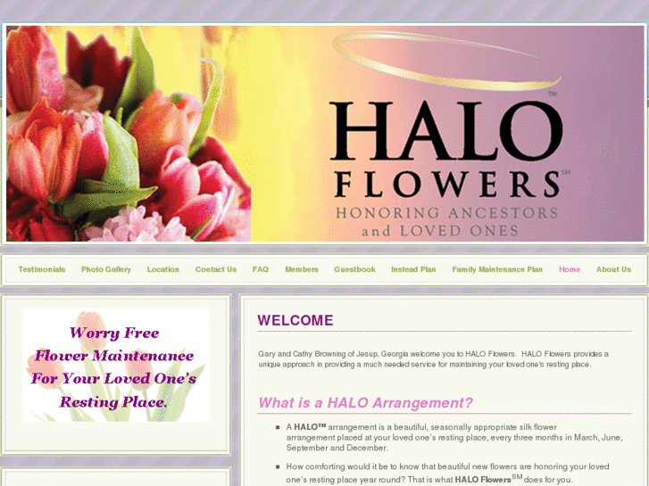 www.haloflowers.com