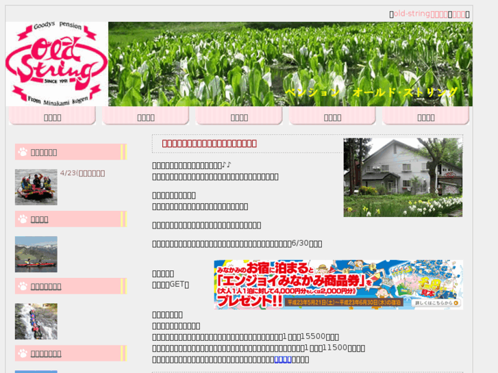 www.old-string.com