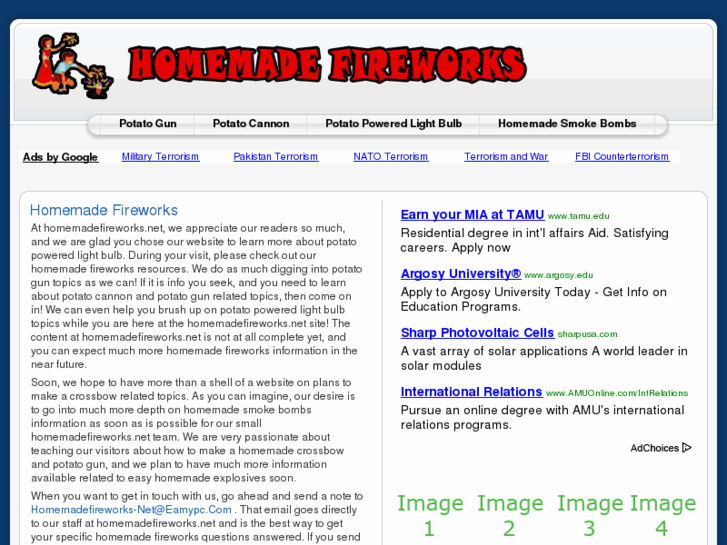 www.homemadefireworks.net
