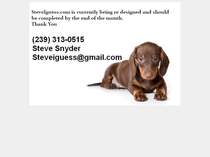 www.steveiguess.com