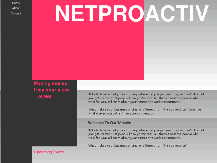 www.netproactiv.net