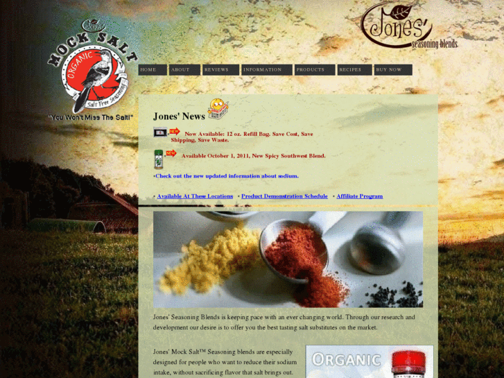 www.mocksalt.net