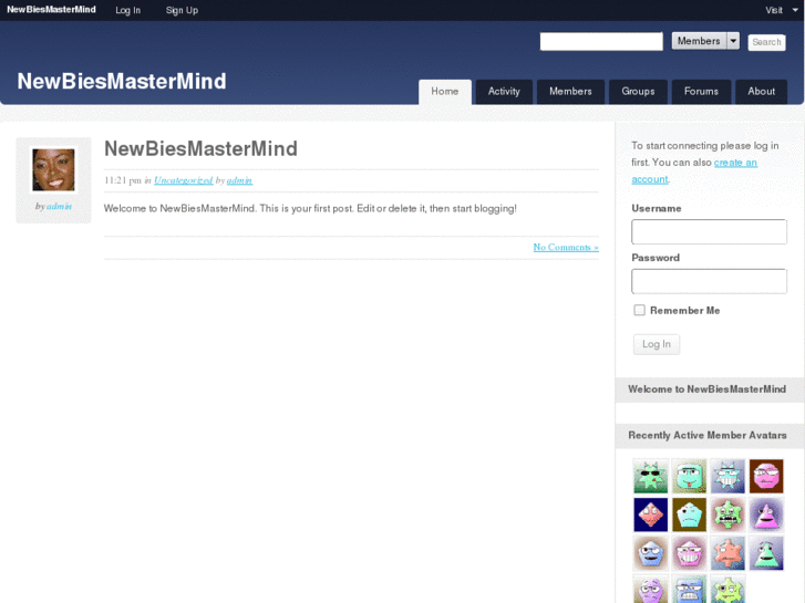 www.newbiesmastermind.com