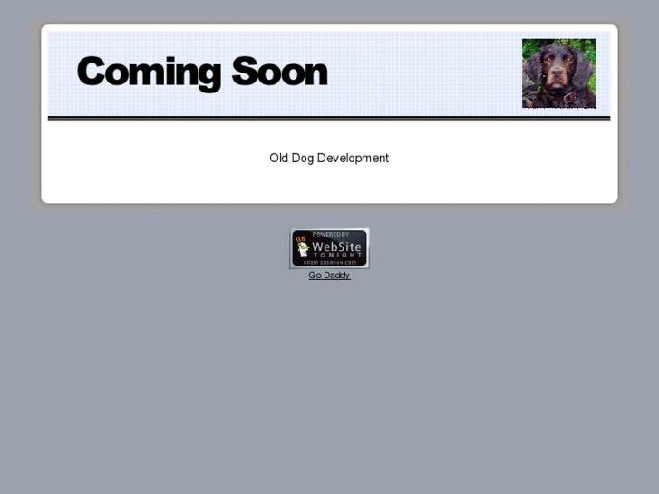 www.olddogdev.com