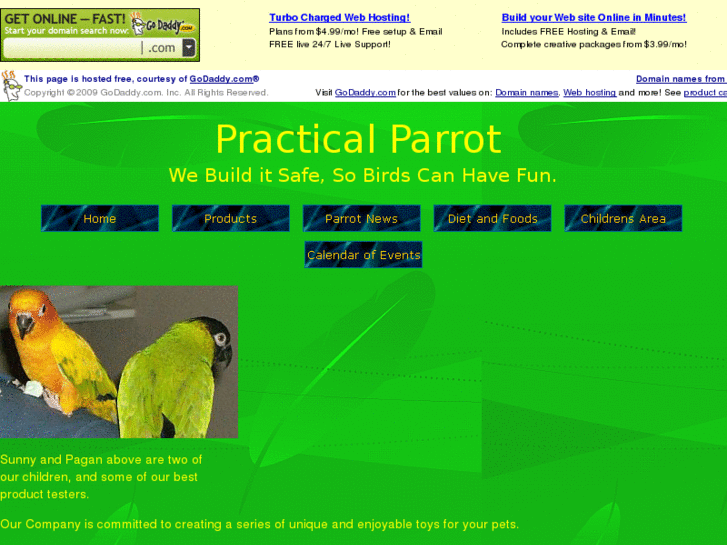 www.practicalparrot.info