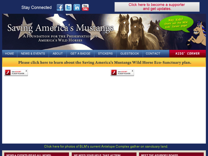 www.savingamericasmustangs.com