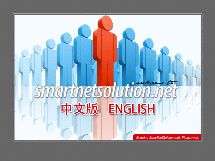 www.smartnetsolution.net