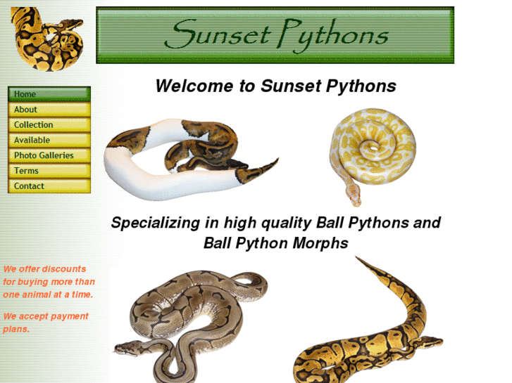 www.sunsetpythons.com