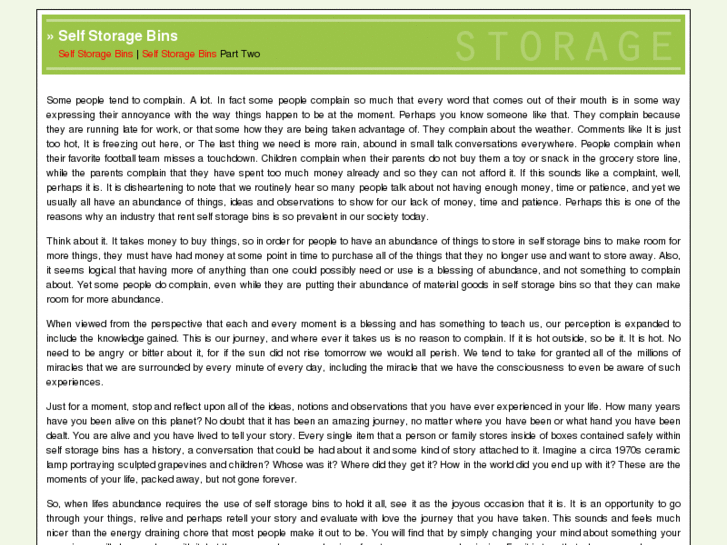 www.selfstoragebin.com