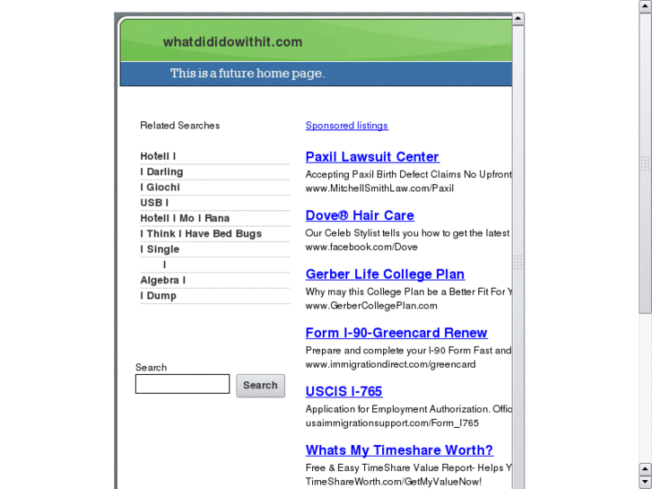 www.whatdididowithit.com