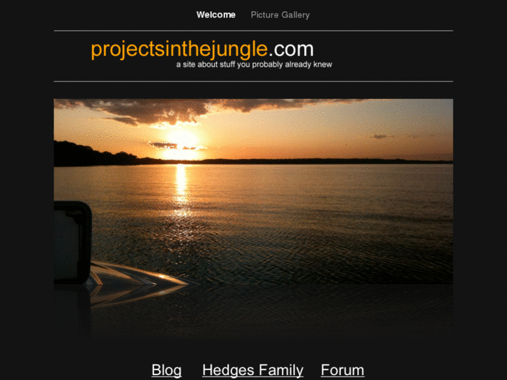 www.projectsinthejungle.com