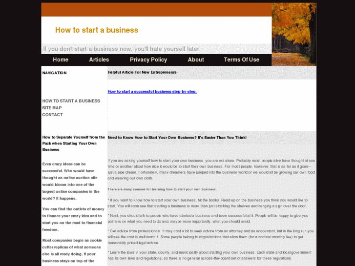 www.www-howtostartabusiness.com
