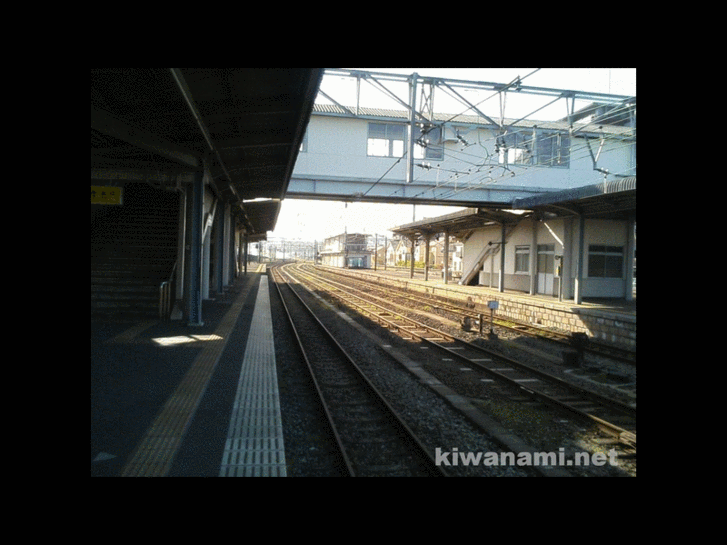 www.kiwanami.net