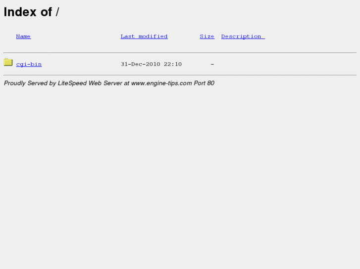 www.engine-tips.com