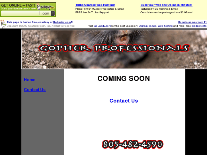 www.gopherprofessionals.com