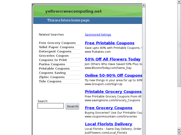 www.yellowcranecomputing.net
