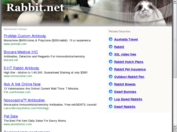www.rabbit-u.net