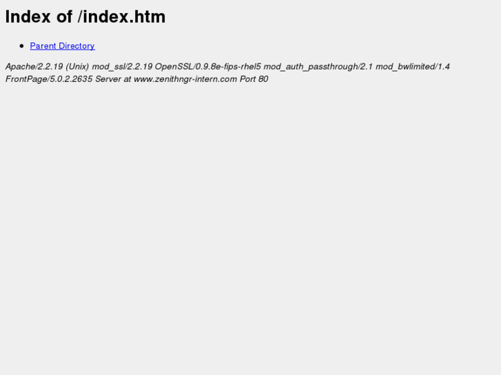 www.zenithngr-intern.com