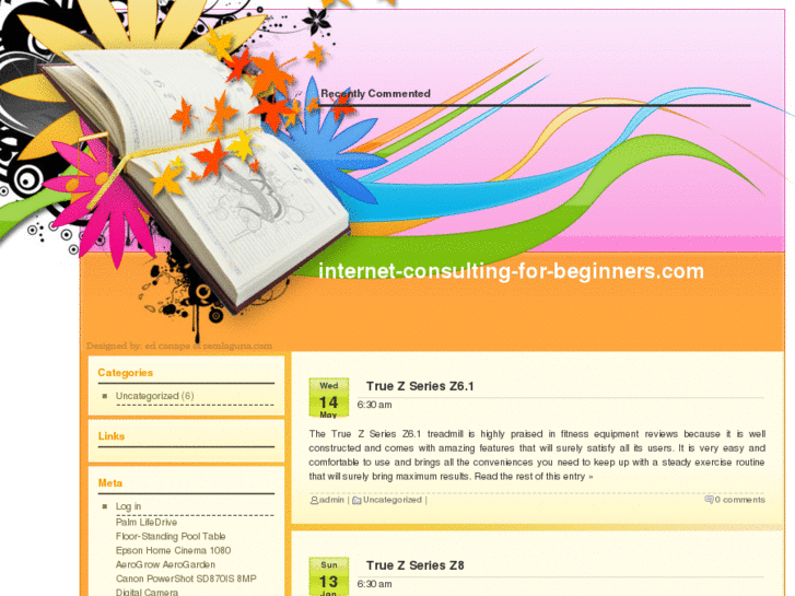 www.internet-consulting-for-beginners.com