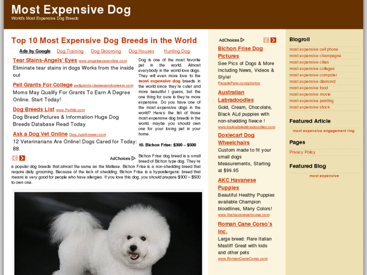 www.mostexpensivedog.net