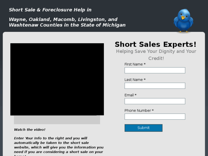 www.michiganshortsaleshelp.info