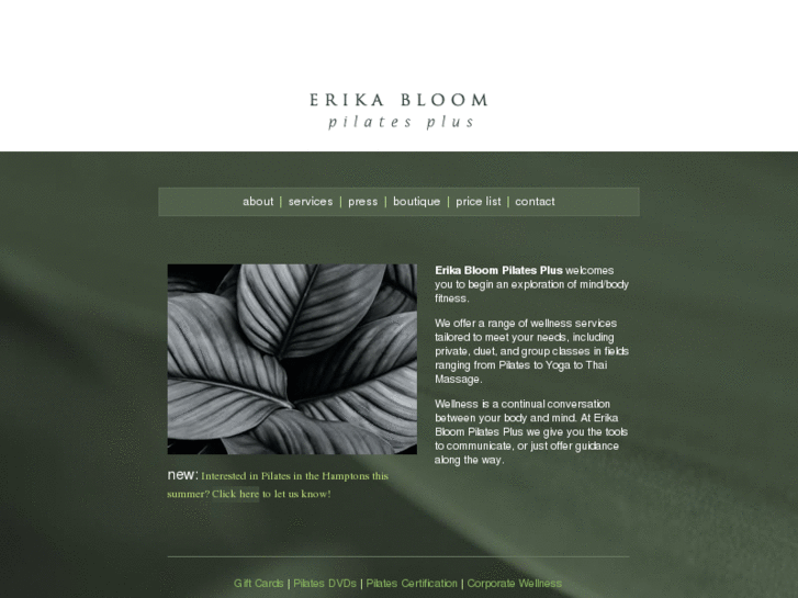 www.erikabloom.info