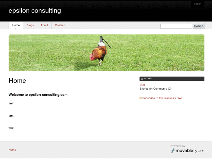 www.epsilon-consulting.com