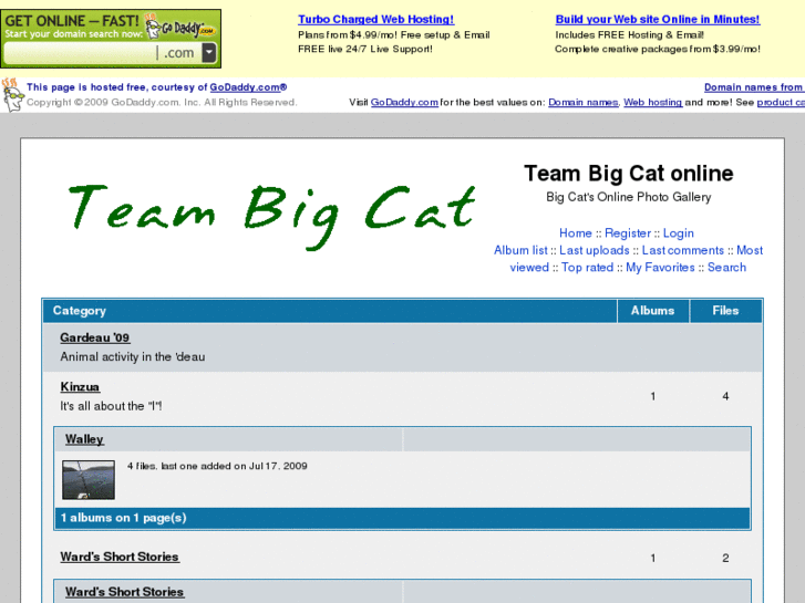 www.teambigcat.net