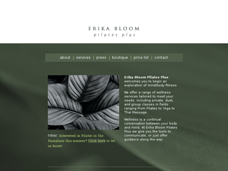 www.erikabloom.org