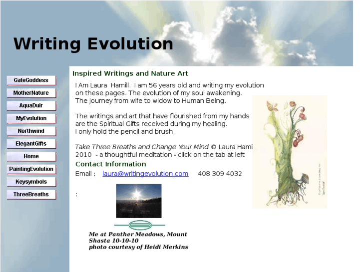 www.writingevolution.com