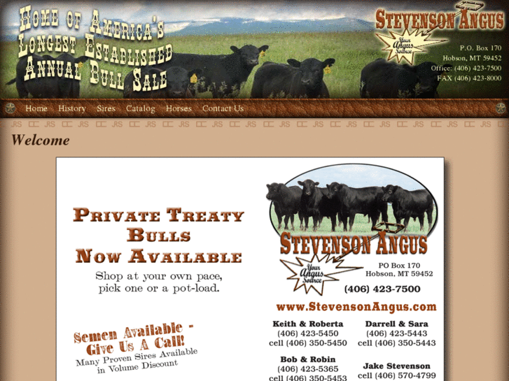www.stevensonangus.com