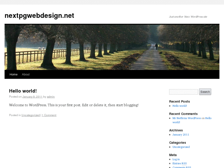 www.nextpgwebdesign.net
