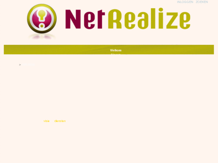 www.netrealize.net