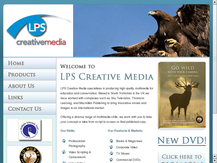 www.lpsconsulting.net