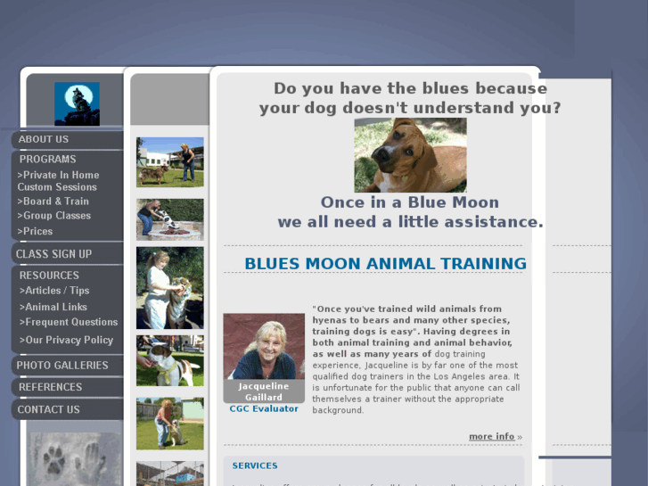www.ladogwalkandtrain.net