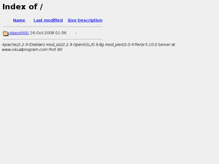 www.visualprogram.com