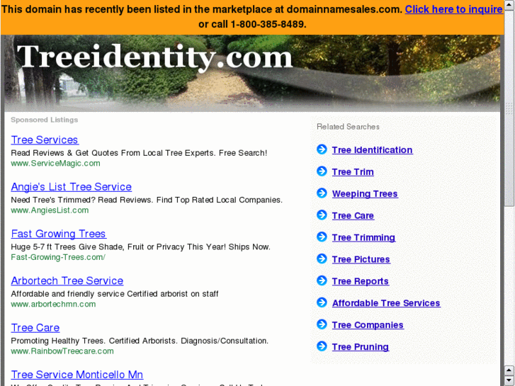 www.treeidentity.com