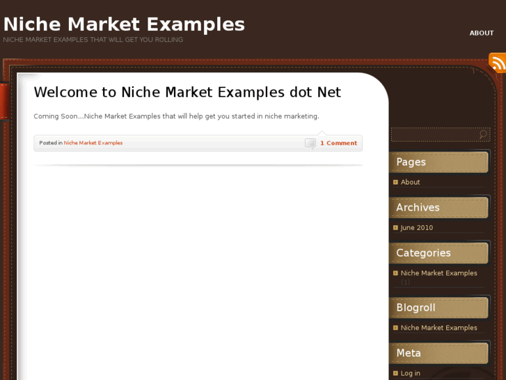 www.nichemarketexamples.net