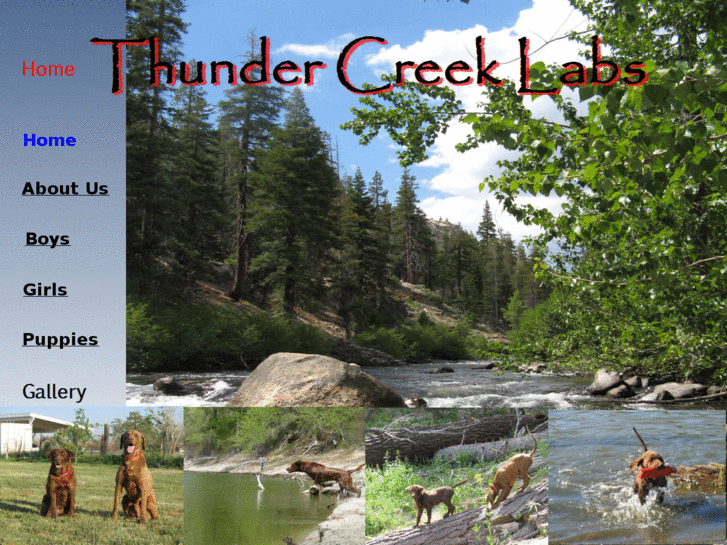 www.thundercreeklabs.com