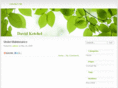 davidketchel.com