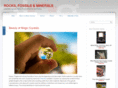rocksfossilsminerals.net