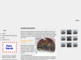 expressautopartsonline.com