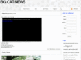 bigcatnews.com